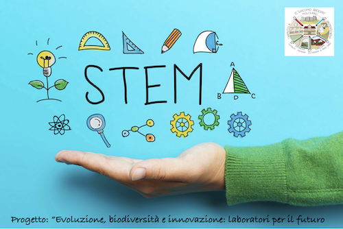Decreto approvazione verbale selezione docente esperto esterno modulo Ro BOT lab